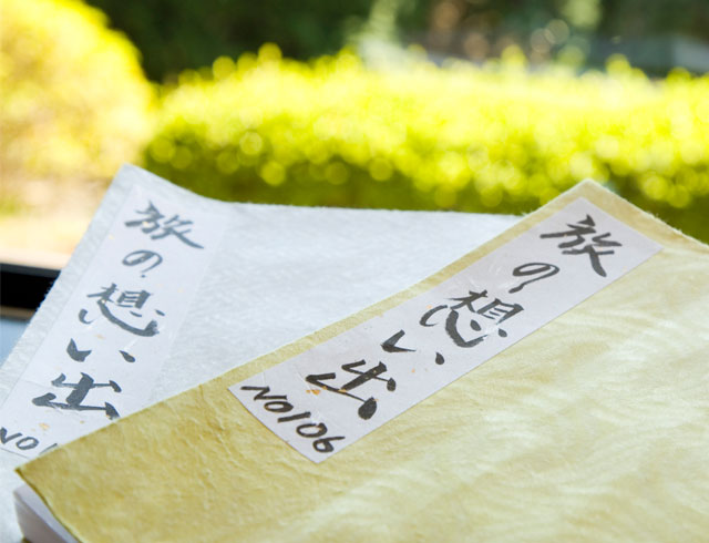 赤ちゃんに優しい旅 過ごし方 箱根 芦ノ湖の温泉 旅館なら和心亭豊月 公式